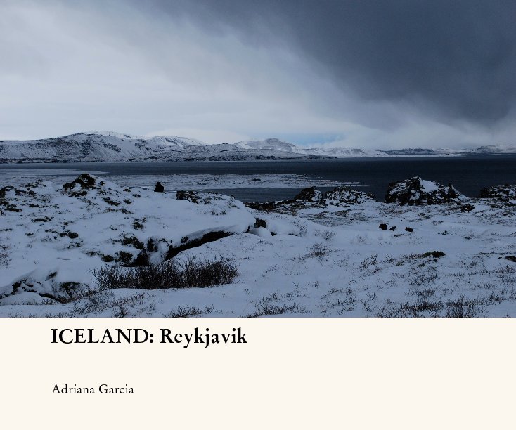 View ICELAND: Reykjavik by Adriana Garcia