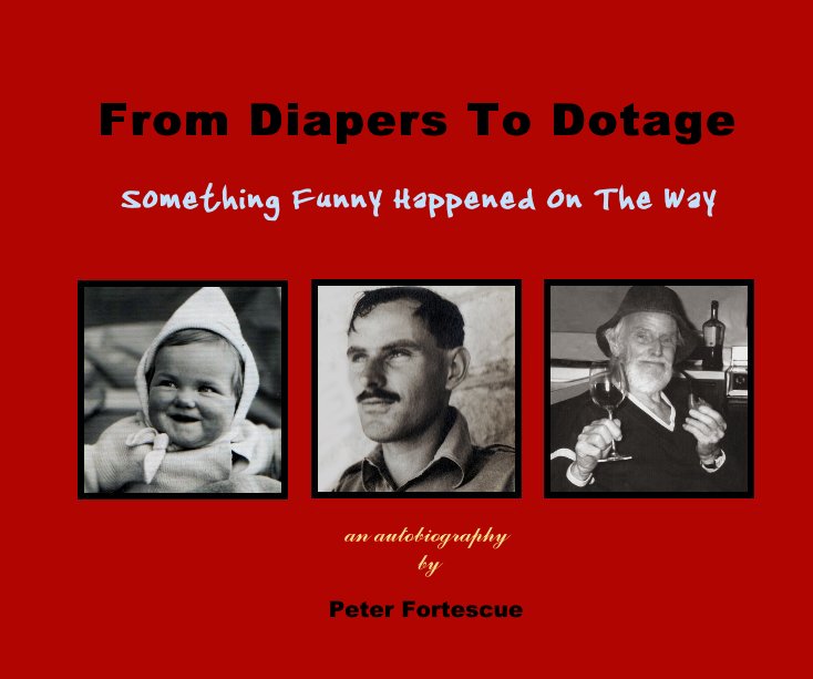 View From Diapers To Dotage by Peter Fortescue