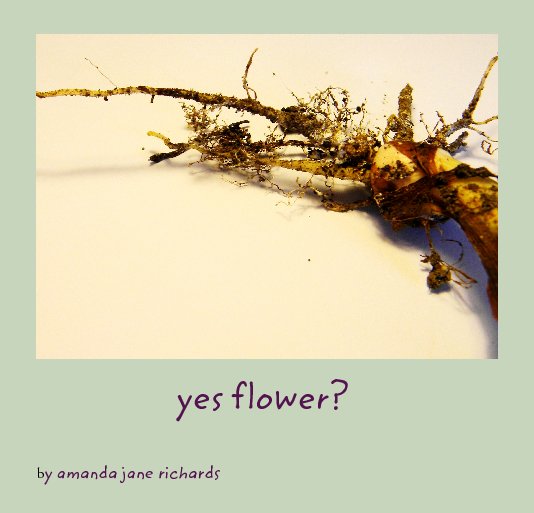 View yes flower? by amanda jane richards