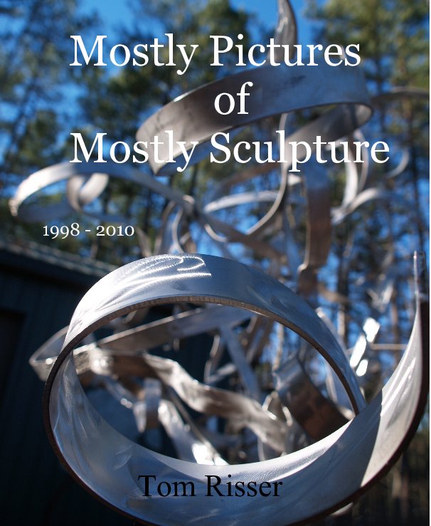 Bekijk Mostly Pictures of Mostly Sculpture op Tom Risser