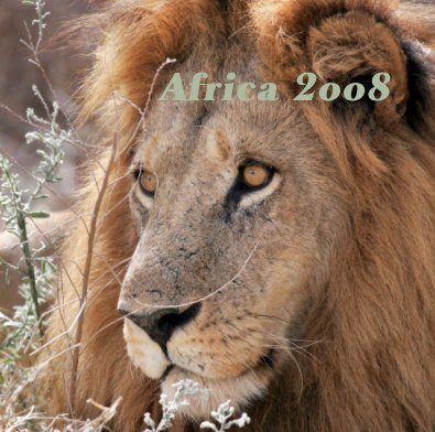 Africa 2oo8 book cover