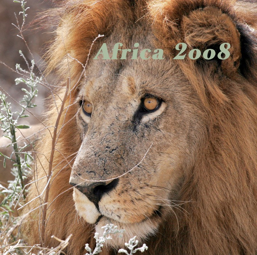Bekijk Africa 2oo8 op Chris Moore
