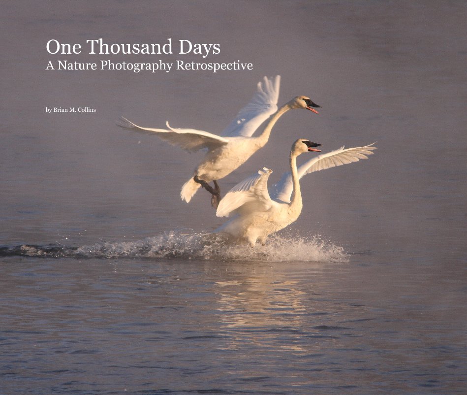 View One Thousand Days A Nature Photography Retrospective by Brian M. Collins