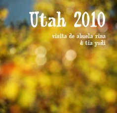 Utah 2010 visita de abuela rina & tia yudi book cover