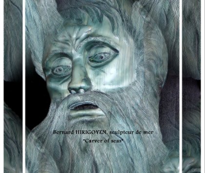 Bernard HIRIGOYEN, sculpteur de mer book cover