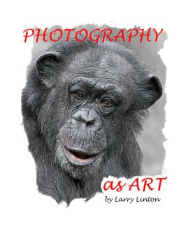 PHOTOGRAPHY AS ART book cover
