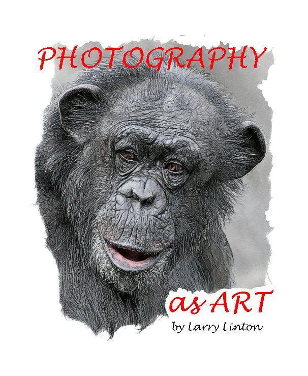 Ver PHOTOGRAPHY AS ART por Larry Linton
