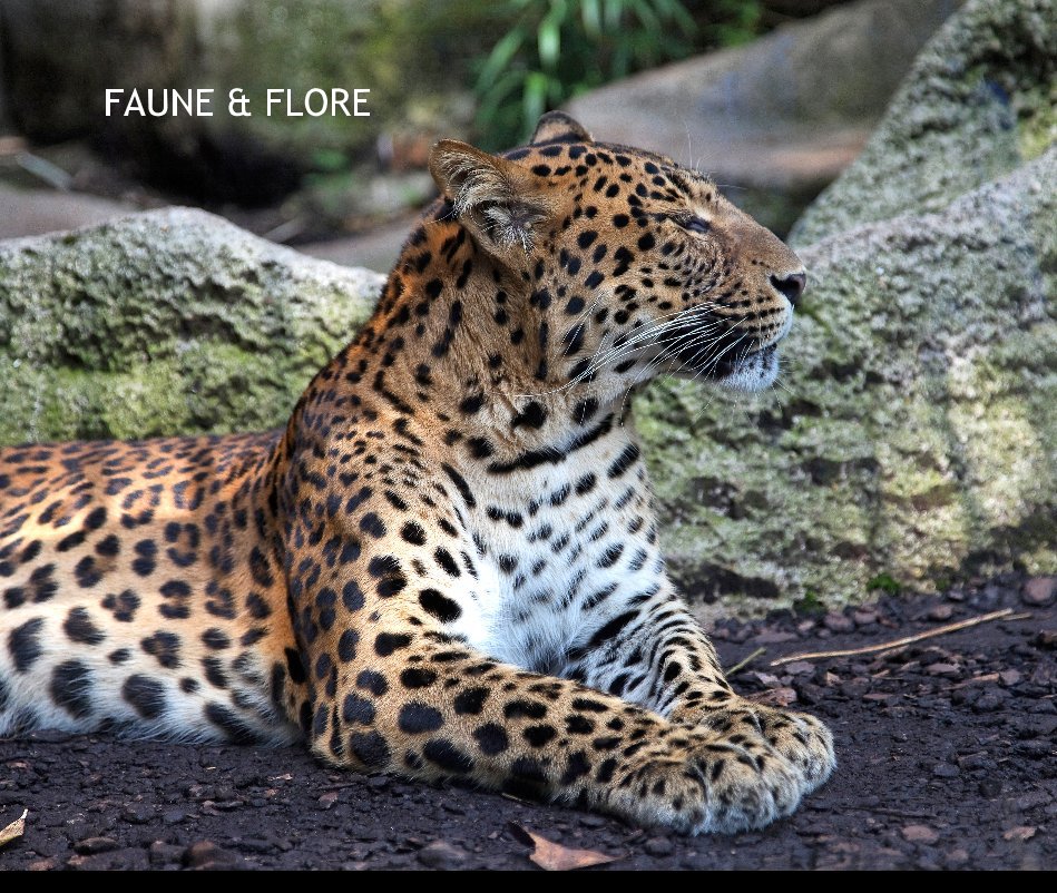 Bekijk FAUNE & FLORE op Jean-François PEIDRO