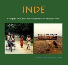 INDE book cover