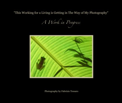 "This Working for a Living is Getting in The Way of My Photography" A Work in Progress book cover