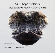 ALLIGATORS HUNTINGTON BEACH STATE PARK book cover