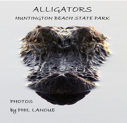 View ALLIGATORS HUNTINGTON BEACH STATE PARK by PHIL LANOUE