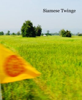 Siamese Twinge book cover