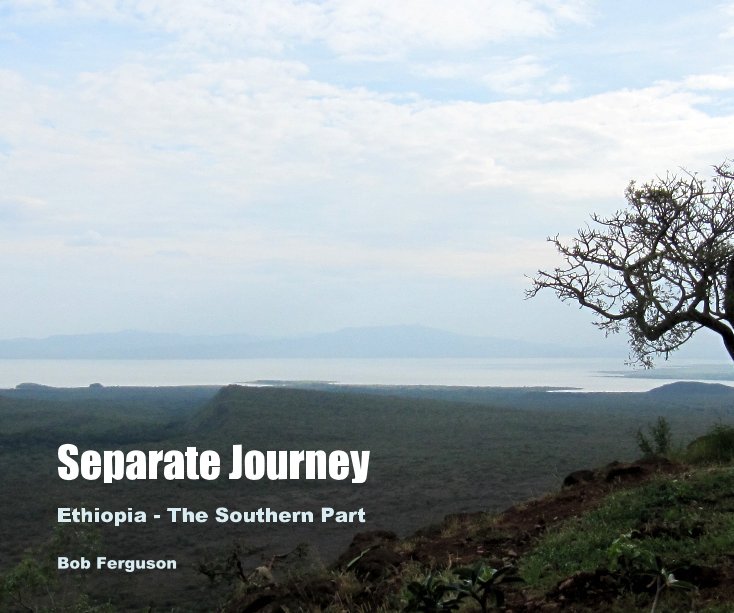 View Separate Journey by Bob Ferguson