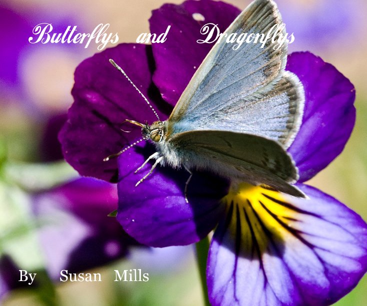 View Butterflys and Dragonflys by Susan Mills