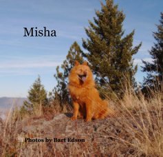 Misha book cover