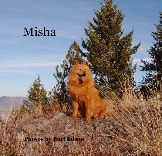 View Misha by Photos by Bart Edson