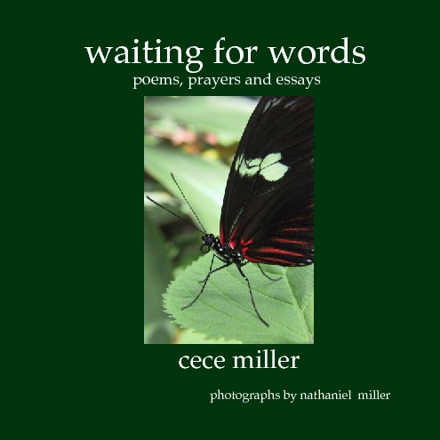 View Waiting for Words by CeCe Miller
