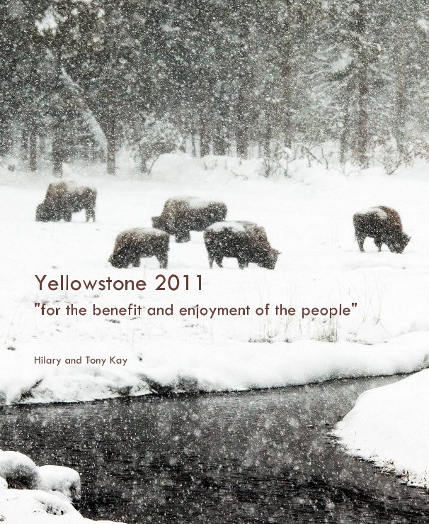View Yellowstone 2011 by Hilary and Tony Kay
