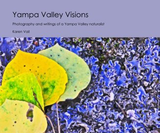 Yampa Valley Visions book cover