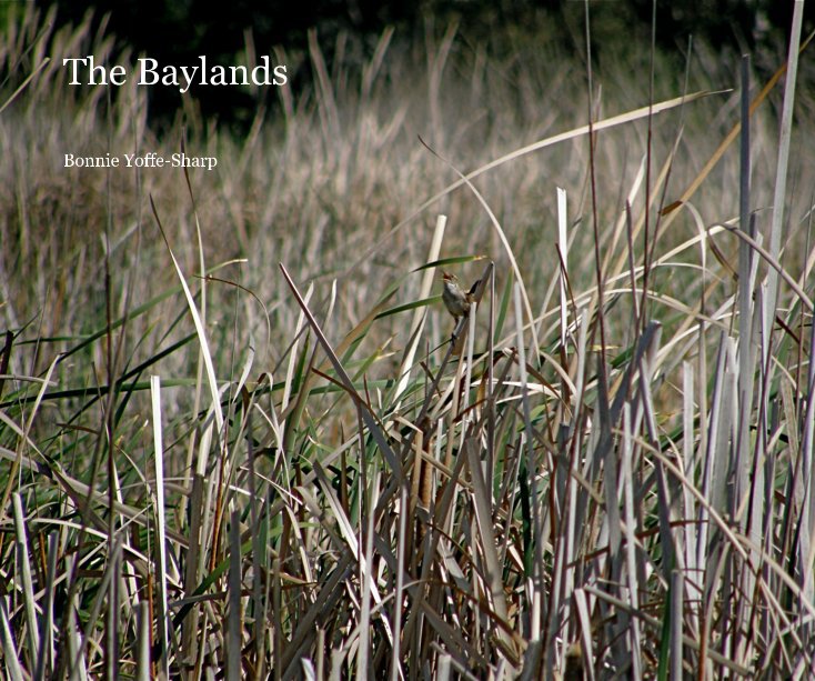 View The Baylands by Bonnie Yoffe-Sharp