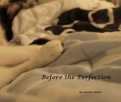 Before the Perfection book cover