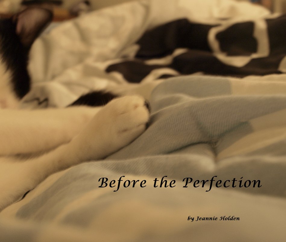 View Before the Perfection by Jeannie Holden