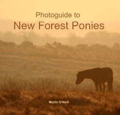 Photoguide to New Forest Ponies book cover