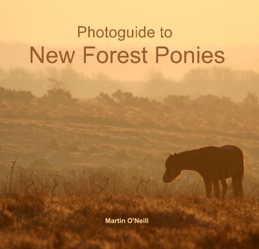 Bekijk Photoguide to New Forest Ponies op Martin O'Neill
