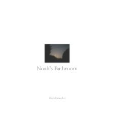 Noah's Bathroom book cover