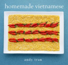 homemade vietnamese book cover