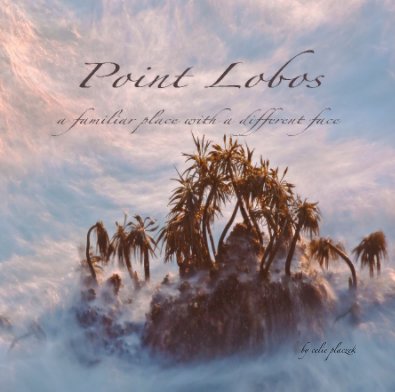 Point Lobos book cover