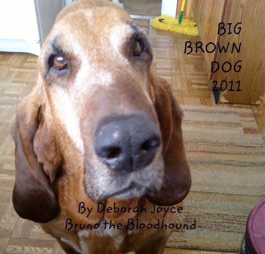 Ver BIG 
BROWN
DOG
2011 por Deborah Joyce
Bruno the Bloodhound