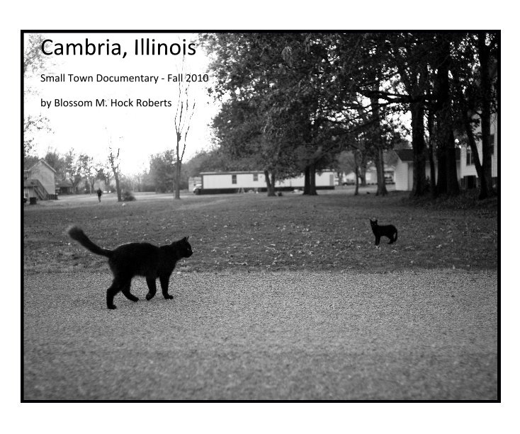 View Cambria, Illinois by Blossom M. Hock Roberts