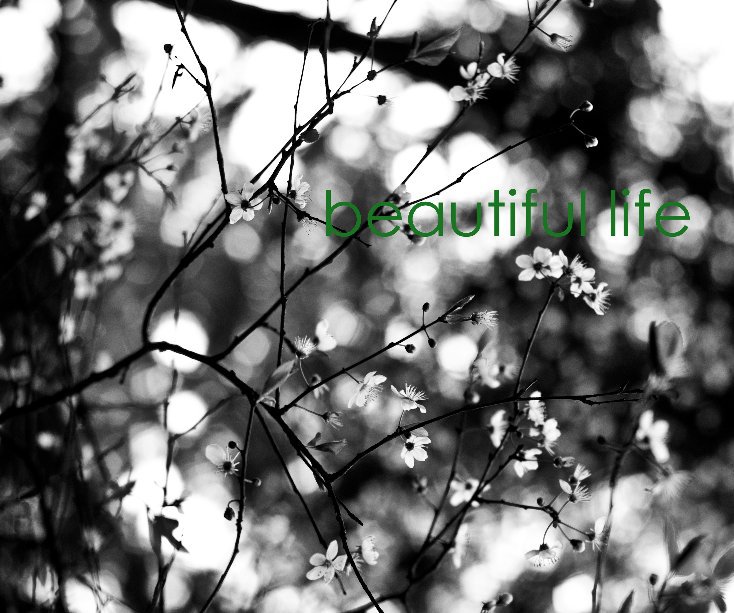 View Beautiful Life by Rebekah Sapp