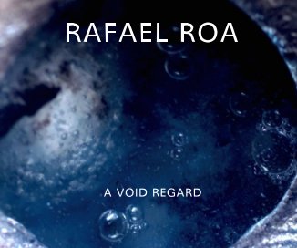 A VOID REGARD book cover