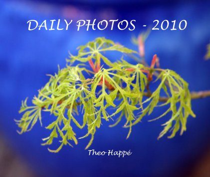 DAILY PHOTOS - 2010 book cover