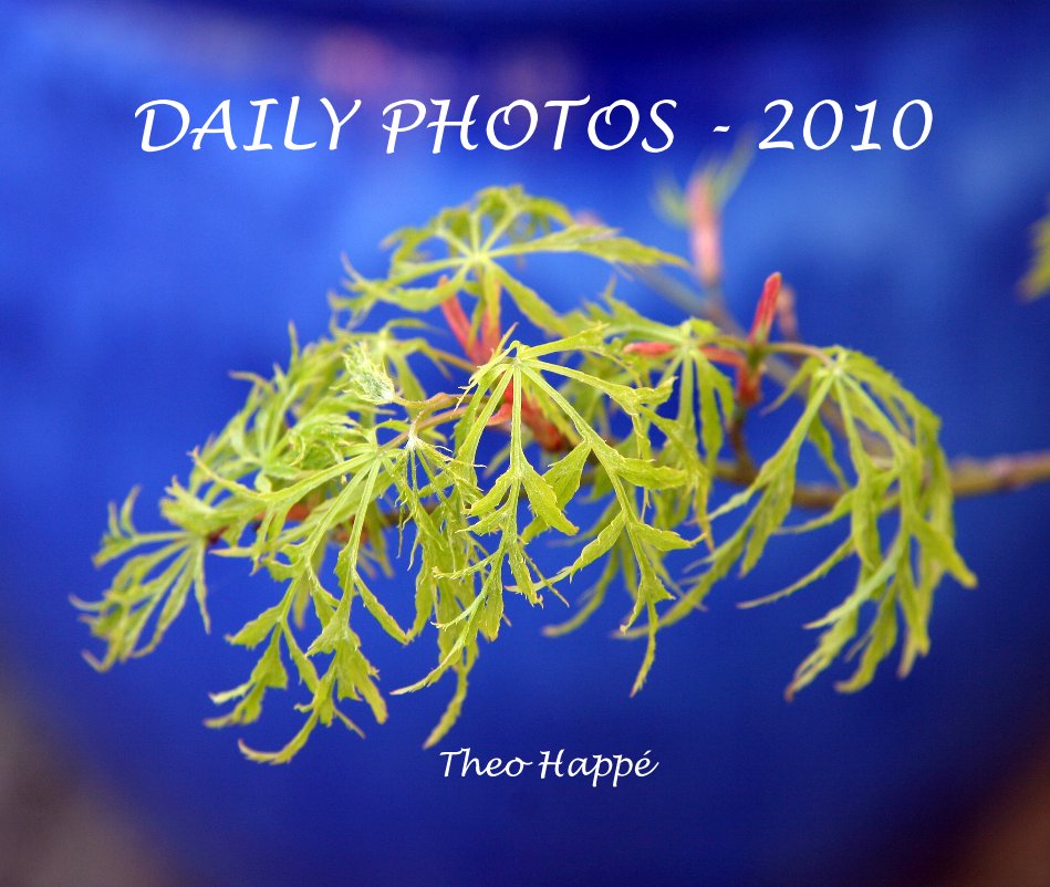 Ver DAILY PHOTOS - 2010 por Theo Happé