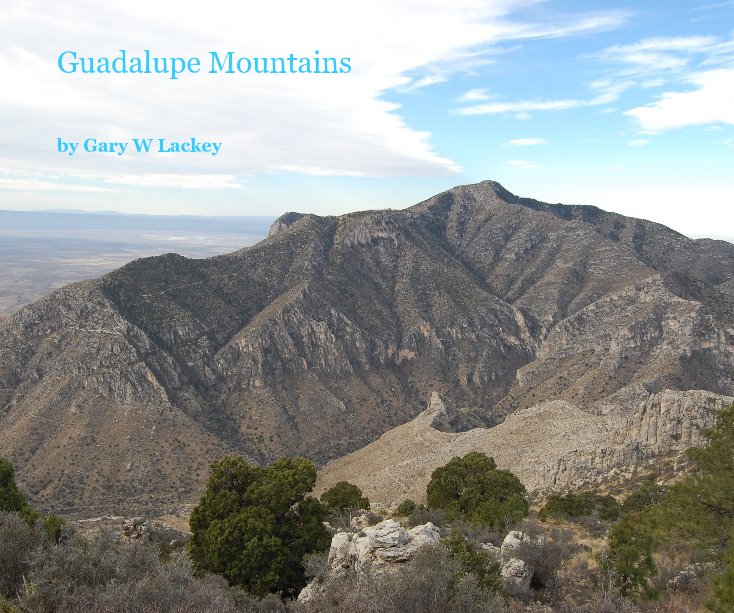 View Guadalupe Mountains by Gary W Lackey