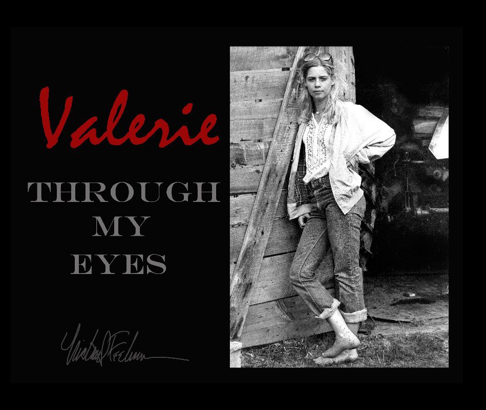 View Valerie Through My Eyes by Michael Feehan