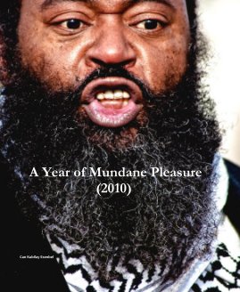 A Year of Mundane Pleasure (2010) book cover