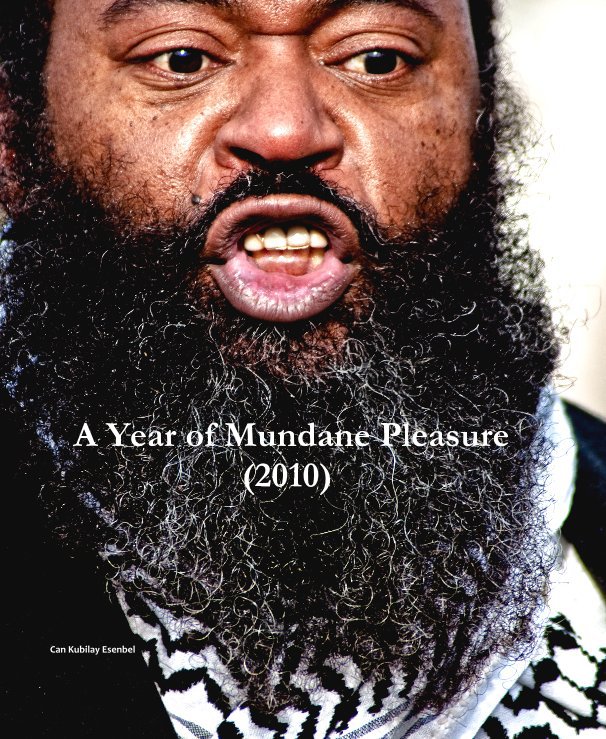 View A Year of Mundane Pleasure (2010) by Can Kubilay Esenbel