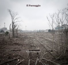 Il Paesaggio book cover