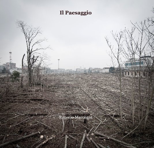 View Il Paesaggio by Eugenio Marongiu