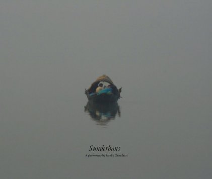 Sunderbans book cover