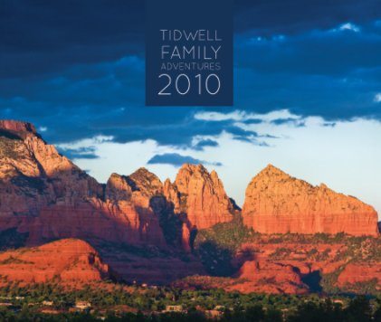 Tidwell Family Adventures 2010 book cover
