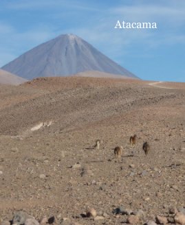 Atacama book cover