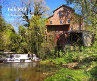 Falls Mill book cover