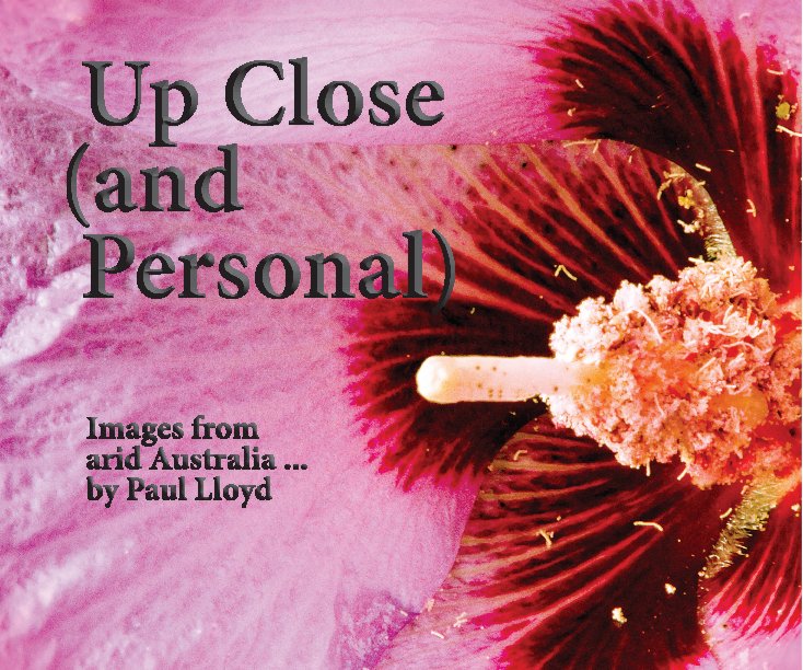 Ver Up Close (and Personal) por Paul Lloyd