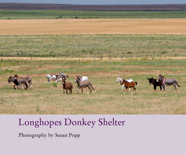 Ver Longhopes Donkey Shelter por Photography by Susan Popp